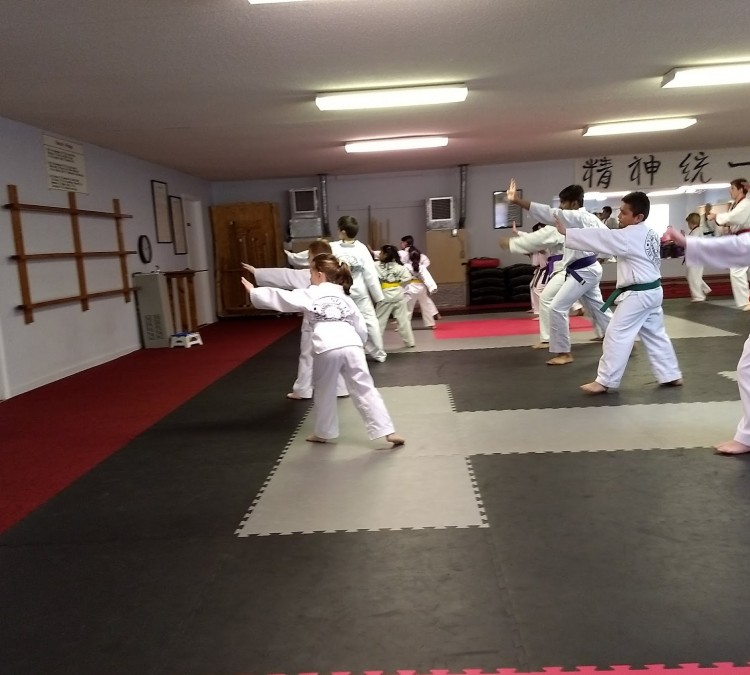 young-yu-tae-kwon-do-karate-photo